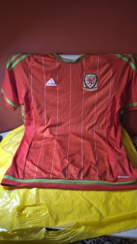 Wales 2014 2015 - 2014/2015, m